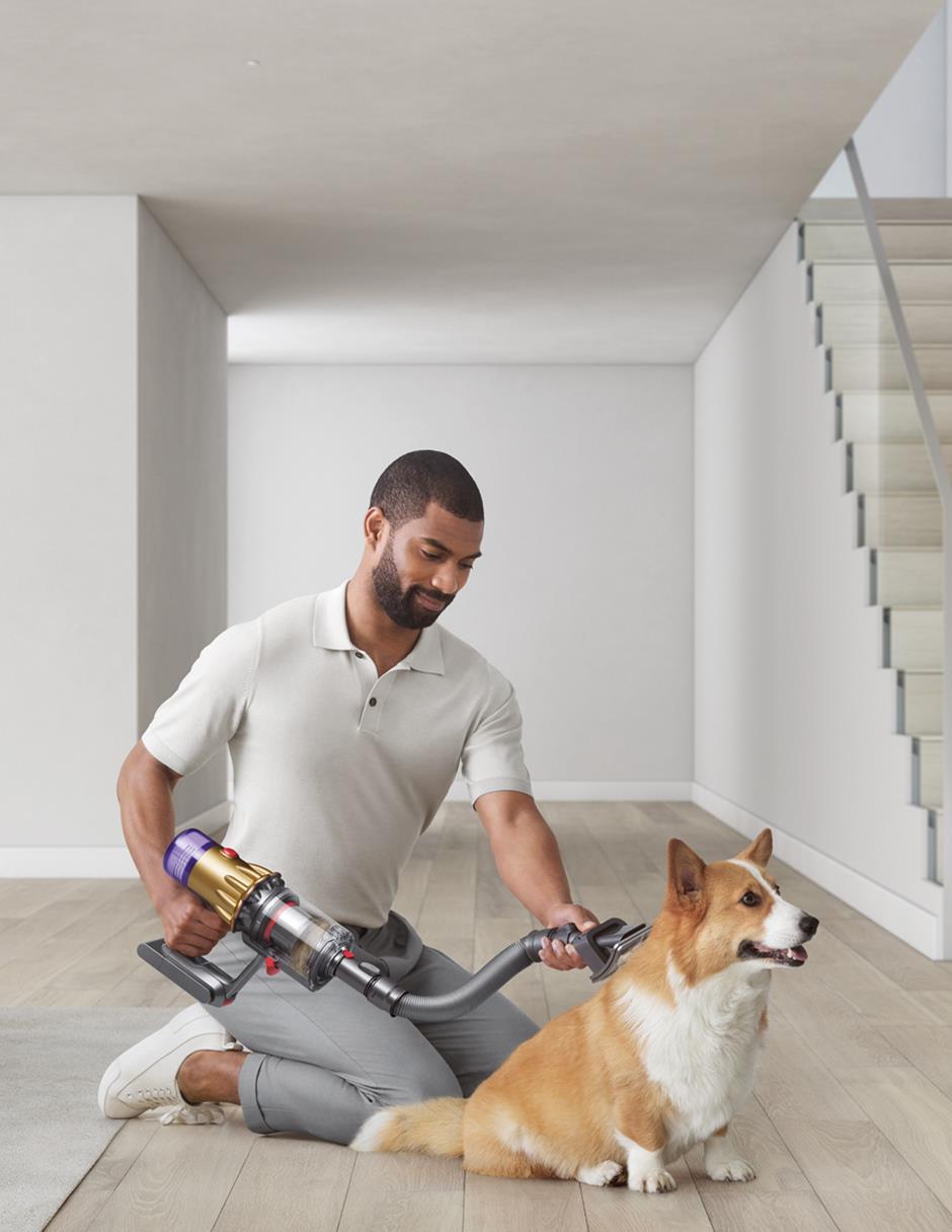 Cepillo Pet grooming kit con cerdas rígidas