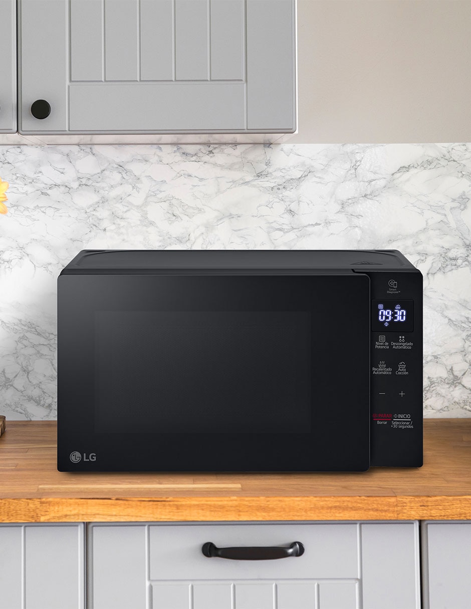 Horno de microondas convencional modelo MS2032GAS de 0.7 pies cúbicos 10