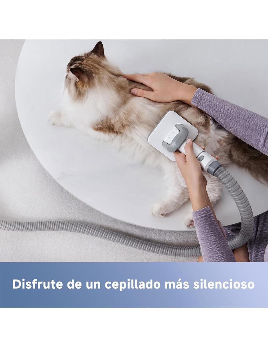 Aspiradora de mano Dreametech mova g1 pro 1 litro