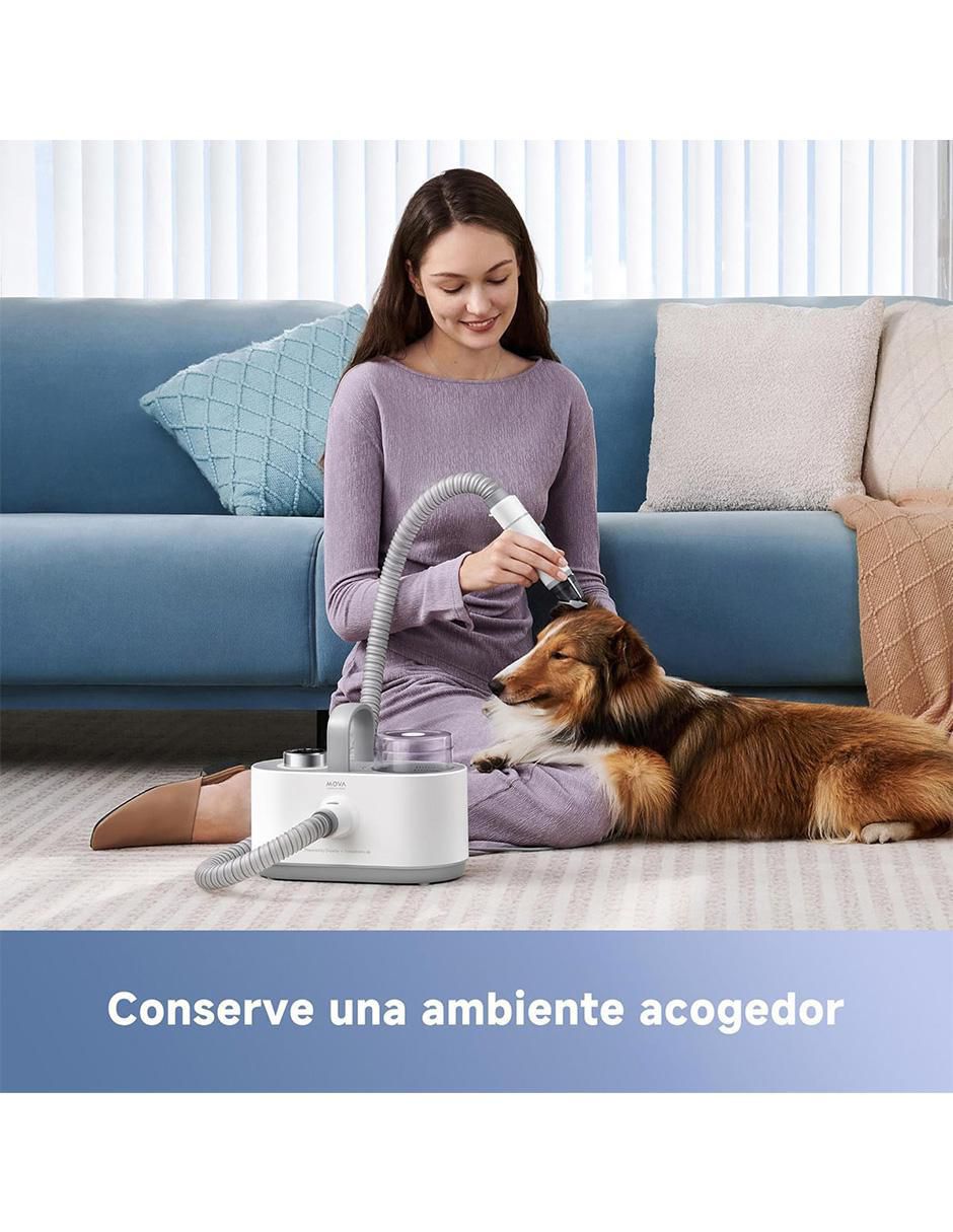 Aspiradora de mano Dreametech mova g1 pro 1 litro