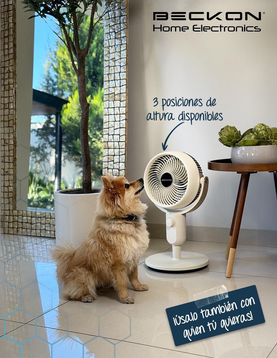 Ventilador 3 en 1 Beckon 3 velocidades