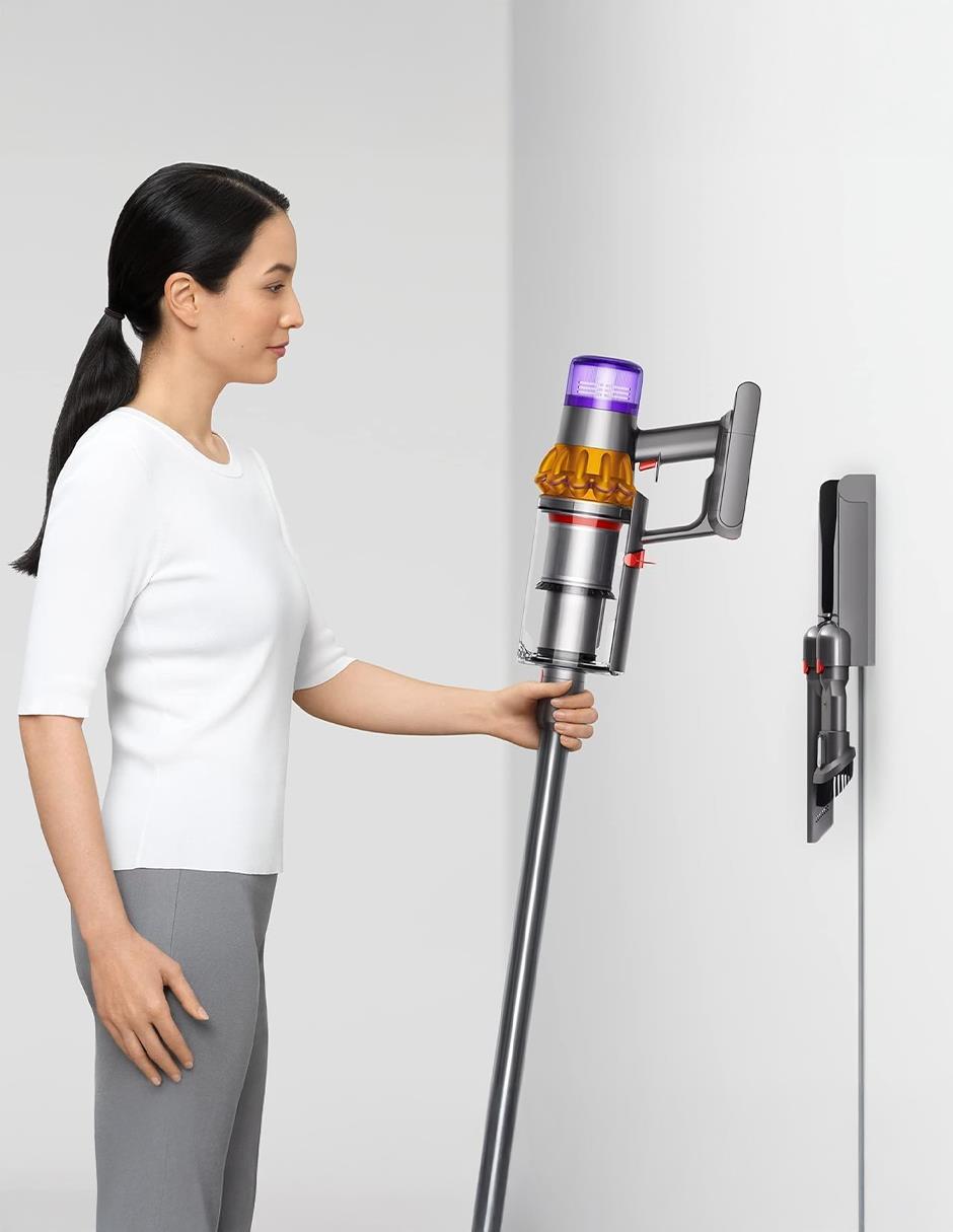 Aspiradora ciclónica V15 detect 750 ml