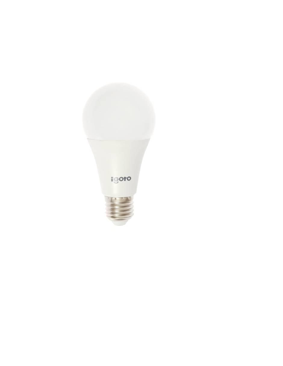 Set ventilador de techo Igoto 3 velocidades