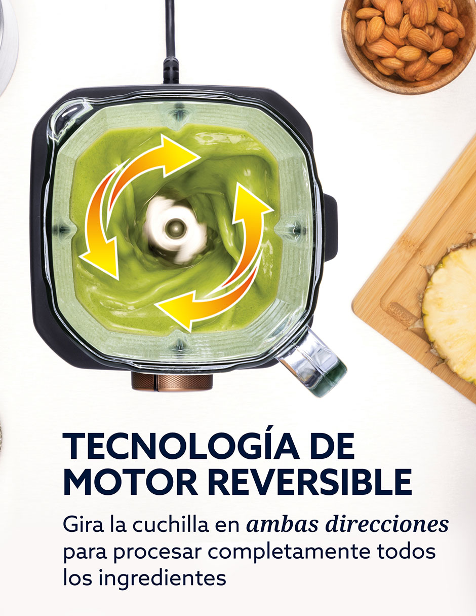 Licuadora reversible oster blstxt-xg 9 velocidades
