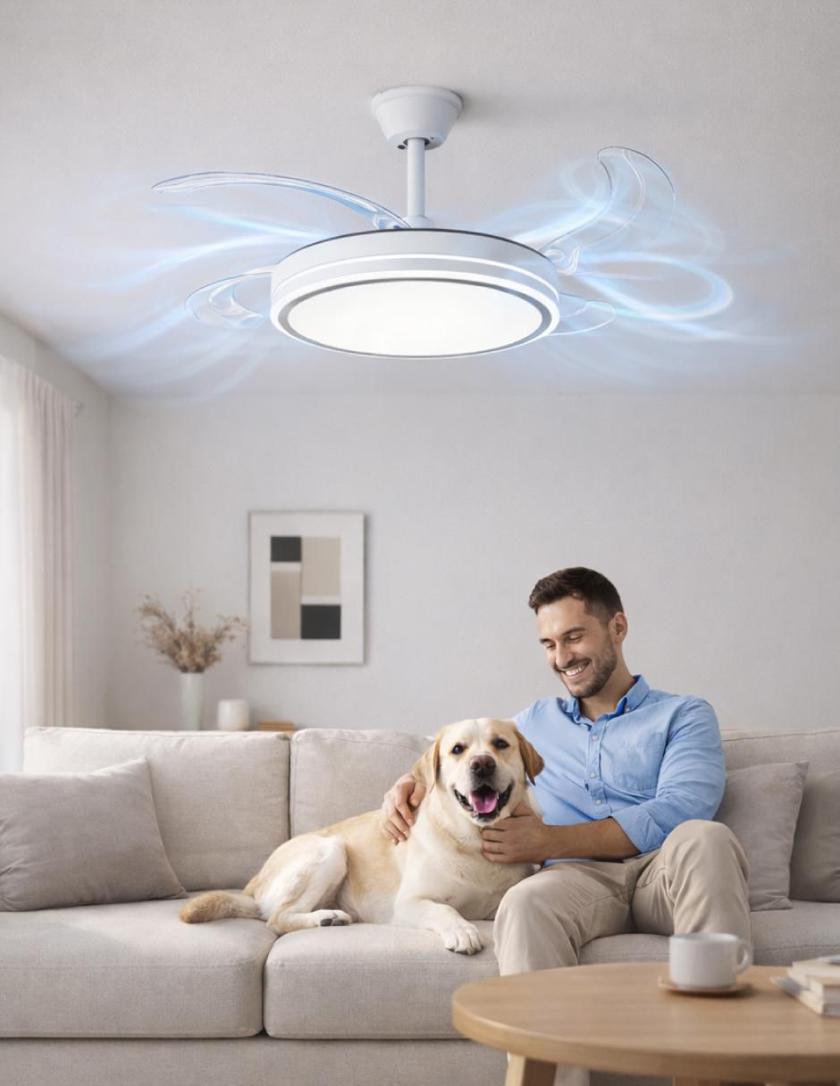 Ventilador de techo skycare con control remoto 6 velocidades