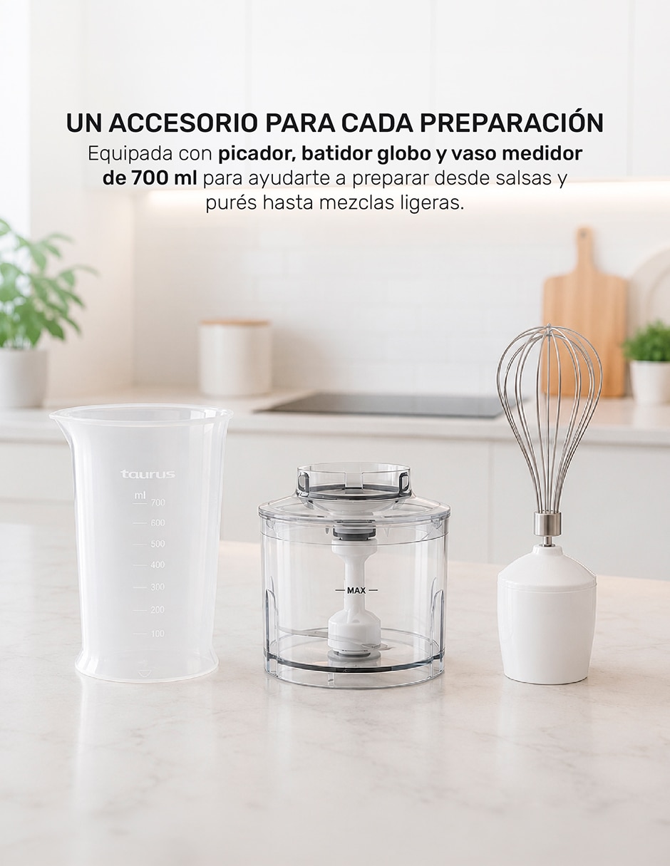 Batidora inmersión 2 velocidades Robot 1000 Plus inox Batidoras de inmersión 14